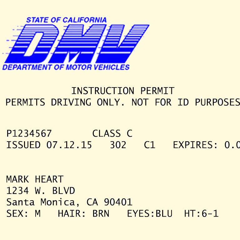 California learners permit course
